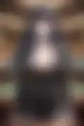 잠긴 이미지