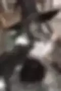 잠긴 이미지