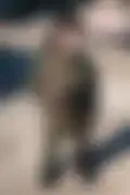 잠긴 이미지