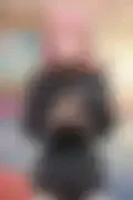 잠긴 이미지