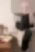 잠긴 이미지