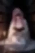 잠긴 이미지