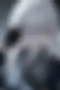 잠긴 이미지