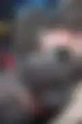 잠긴 이미지