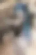 잠긴 이미지