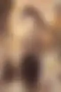 잠긴 이미지