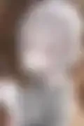 잠긴 이미지
