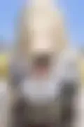 잠긴 이미지