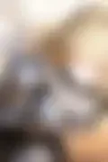 잠긴 이미지