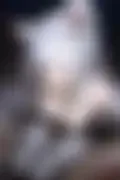잠긴 이미지