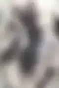 잠긴 이미지