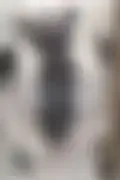 잠긴 이미지