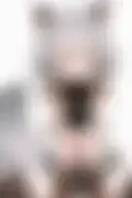 잠긴 이미지