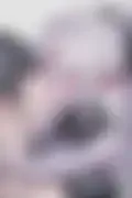 잠긴 이미지