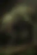 잠긴 이미지