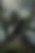 잠긴 이미지
