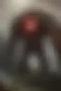 잠긴 이미지