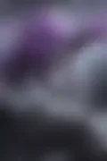 잠긴 이미지