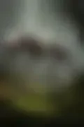 잠긴 이미지