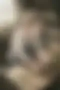 잠긴 이미지