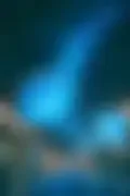 잠긴 이미지