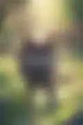 잠긴 이미지
