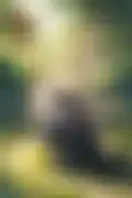 잠긴 이미지
