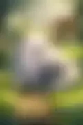 잠긴 이미지