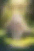 잠긴 이미지