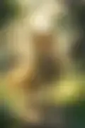 잠긴 이미지