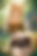 잠긴 이미지