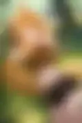잠긴 이미지