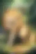 잠긴 이미지
