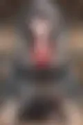잠긴 이미지