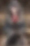 잠긴 이미지