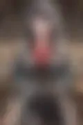 잠긴 이미지