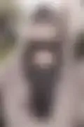 잠긴 이미지