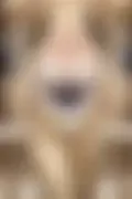 잠긴 이미지