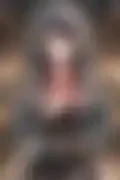 잠긴 이미지