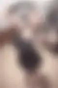 잠긴 이미지