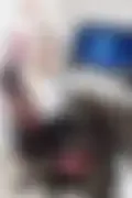 잠긴 이미지