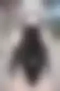 잠긴 이미지