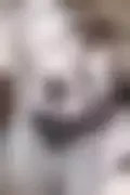 잠긴 이미지