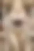 잠긴 이미지