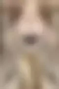 잠긴 이미지
