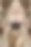 잠긴 이미지