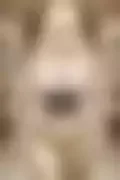 잠긴 이미지