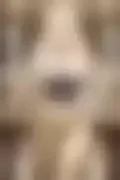 잠긴 이미지