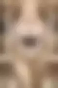 잠긴 이미지