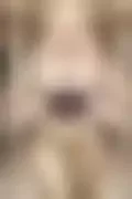 잠긴 이미지